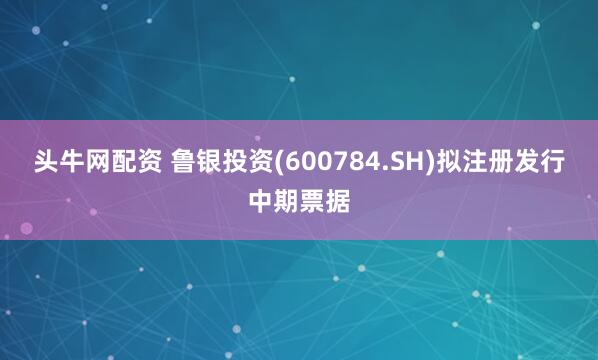 头牛网配资 鲁银投资(600784.SH)拟注册发行中期票据