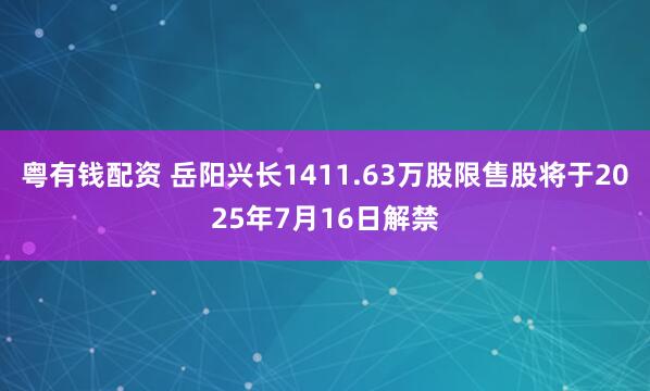 粤有钱配资 岳阳兴长1411.63万股限售股将于2025年7月16日解禁