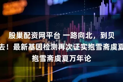 股巢配资网平台 一路向北，到贝加尔湖去！最新基因检测再次证实抱雪斋虞夏万年论